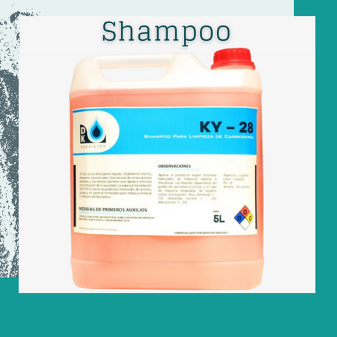 Shampoo para lavar autos KY-28 (5 lts)