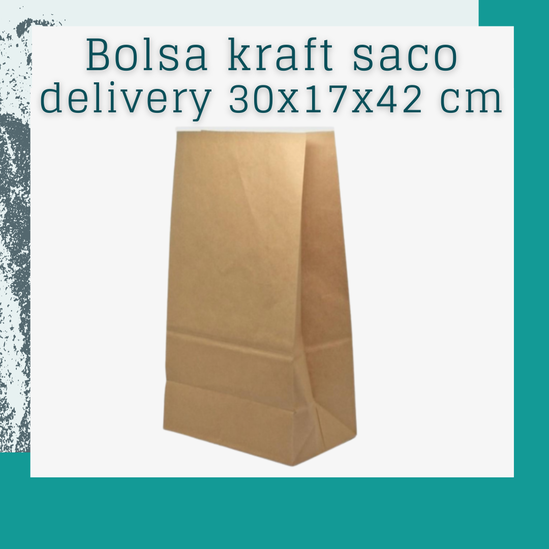 Bolsa kraft saco delivery